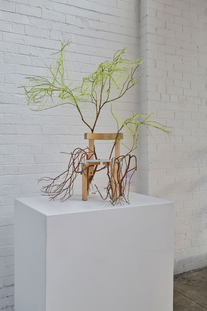 image-e80a8d4032a18736570196b242a3f486987e0ca5-5138x7707-jpg